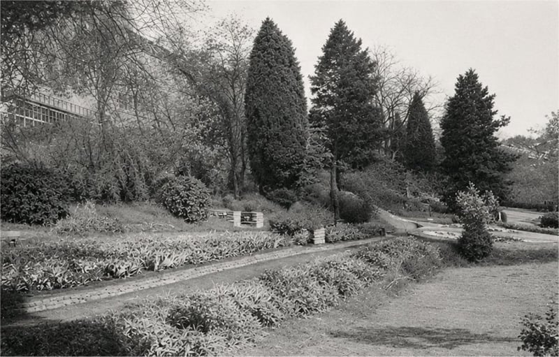 The Wye Rapids Hotel - The Hotel from the Garden