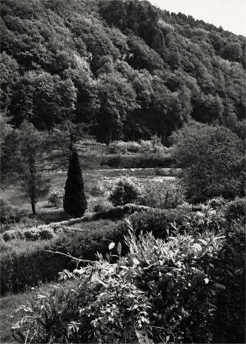 The Wye Rapids Hotel - The Rapids from the Garden