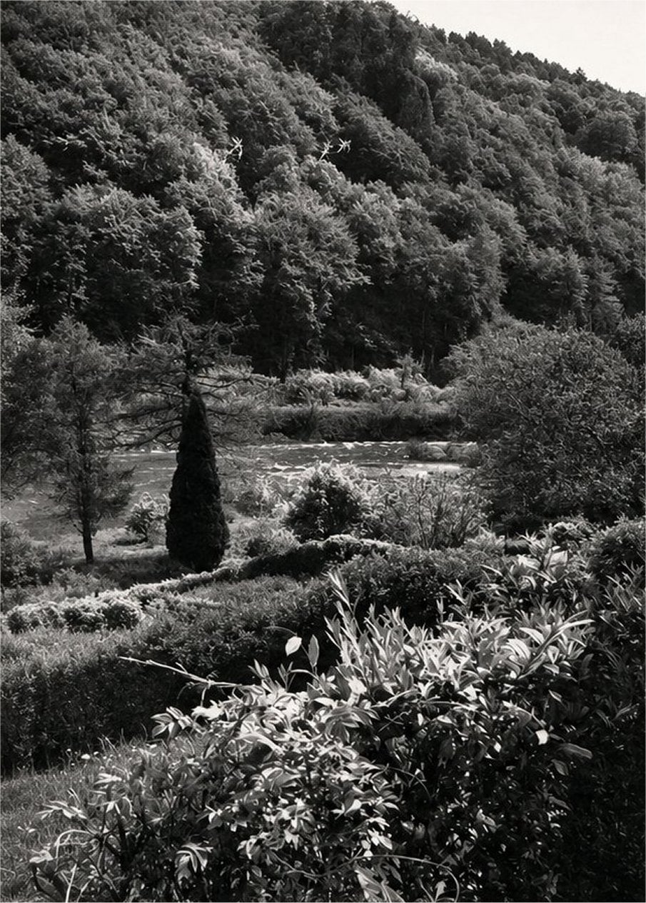 The Wye Rapids Hotel - The Rapids from the Garden